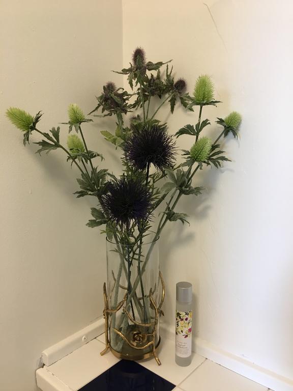 The Bothwell Bonnie Thistle Apartment Edinburgh Luaran gambar